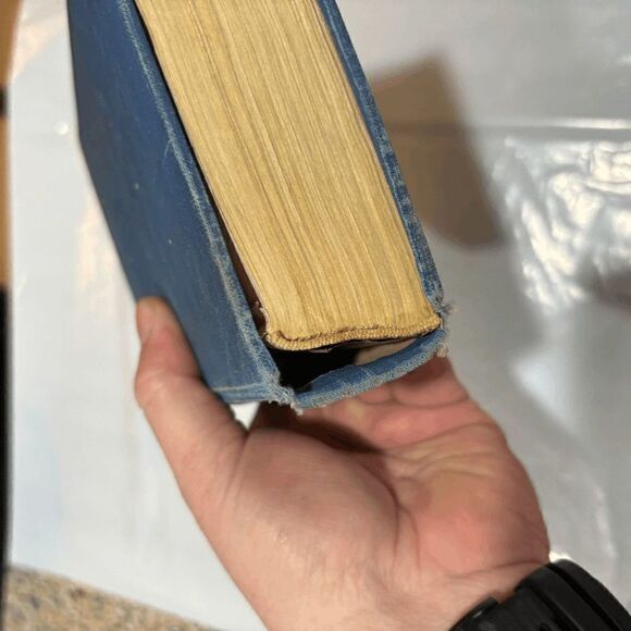 Vintage 1917 Elaine Sterne "The Road Of Ambition" 1st edition Ill Ray N. Jackson - Picture 9 of 11